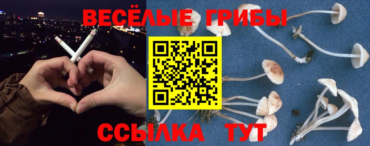 Галлюциногенные грибы GOLDEN TEACHER  Вход с VPN  Можга 